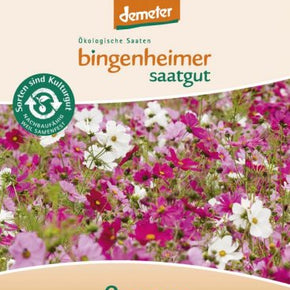 PRE-ORDER - LEVERING UGE 9 - Bingenheimer Saatgut - Biodynamisk plantefrø 2024 - Blomsterfrø - Stolt Kavaler Cosmea