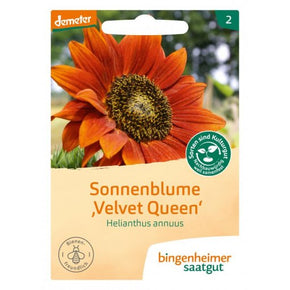 PRE-ORDER - DELIVERY WEEK 9 - Bingenheimer Saatgut - Biodynamic plant seed 2024 - Sunflower flower "Velvet Queen"