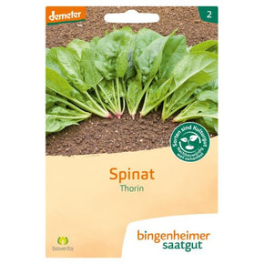 PRE-ORDER - DELIVERY WEEK 9 - Bingenheimer Saatgut - Biodynamic plant seed 2024 - Spinach "Thorin"