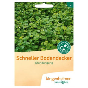 PRE-ORDER - LEVERING UGE 9 - Bingenheimer Saatgut - Biodynamisk plantefrø 2024 - Bunddække Blanding