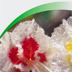 A. Vogel, Aesculaforce Gel, 100 g